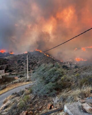Incendio forestal en Almería, España