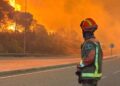 Bombero observa el avance de las llamas sin control, en la Comunidad de Madrid.