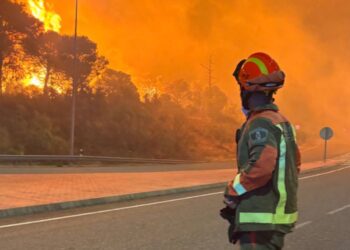 Bombero observa el avance de las llamas sin control, en la Comunidad de Madrid.