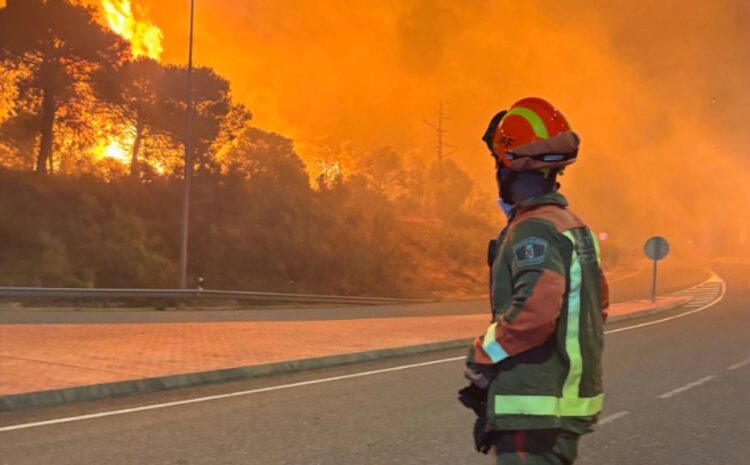 Bombero observa el avance de las llamas sin control, en la Comunidad de Madrid.
