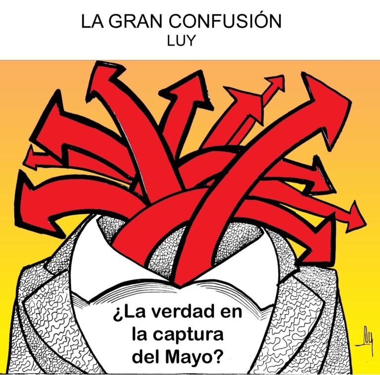 Cartón de Luy: La gran confusión