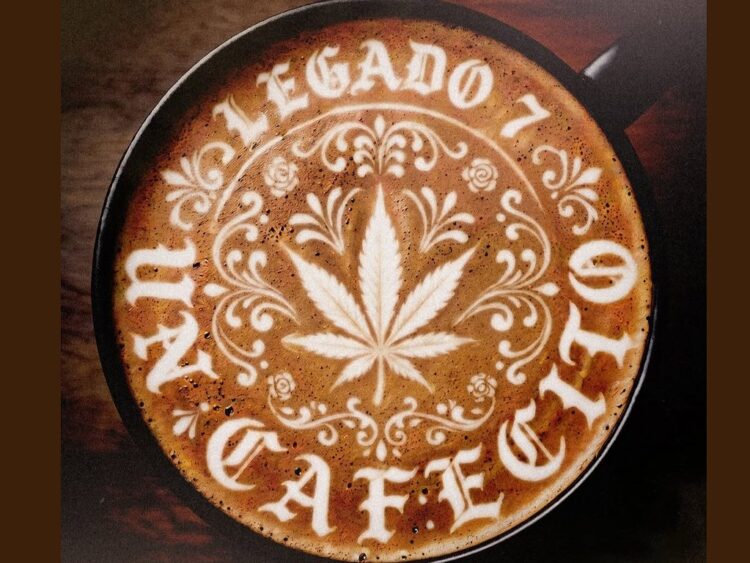 Legado 7 presentó “Un Cafecito”, el nuevo sencillo con el que explora el proceso de sanar tras una ruptura amorosa. | AMEXI/FOTO: IG @legado_7