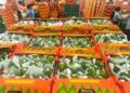 Cooperativa veracruzana envía sus primeras 40 toneladas de limón a EU y a Rusia