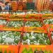 Cooperativa veracruzana envía sus primeras 40 toneladas de limón a EU y a Rusia