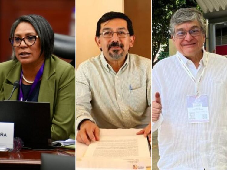comisión antinarco Los consejeros del INE Norma de la Cruz, Arturo Chávez y Uuc-Kib Espada