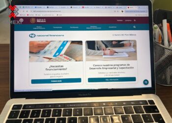 Nacional Financiera con crecimiento en crédito a pequeñas empresas en México.