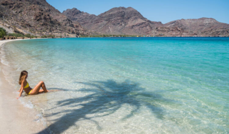 De 289 playas concurridas en México, cinco no son aptas para vacacionar en este verano