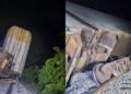 Nuevo “percance ferroviario” del Tren Interoceánico en el Istmo de Tehuantepec; sin lesionados