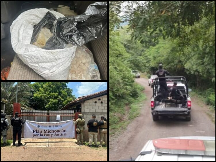 Sedena asegura 10 kg de metanfetamina en Carácuaro