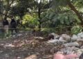 Tiran 5 embolsados en autopista de Orizaba-Puebla