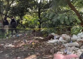 Tiran 5 embolsados en autopista de Orizaba-Puebla