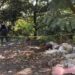 Tiran 5 embolsados en autopista de Orizaba-Puebla