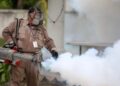 Oaxaca emite alerta epidemiológica por 989 casos de dengue