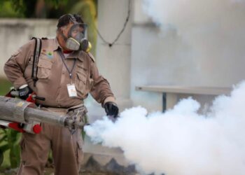 Oaxaca emite alerta epidemiológica por 989 casos de dengue