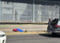 Breves de los Estados