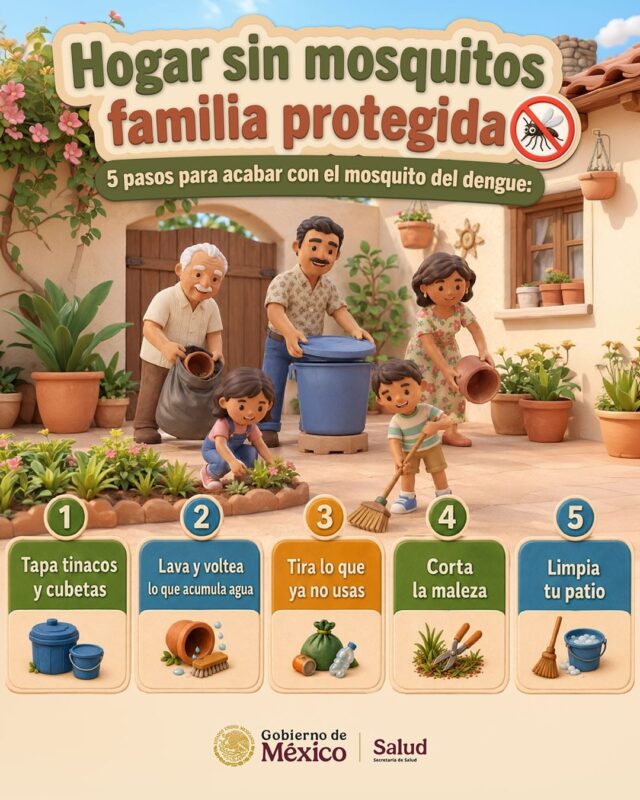 Plan de Acción Cinco pasos para un hogar sin mosquitos
