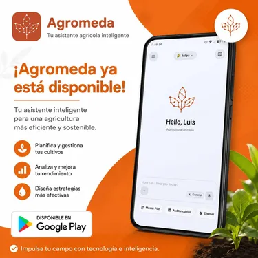 Respaldo científico de Chapingo y consultoría especializada en IA