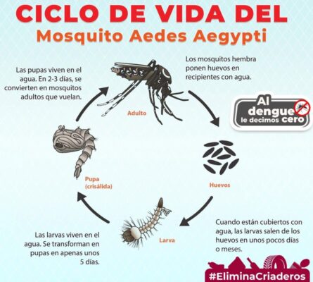 Las regiones más afectadas son la Cuenca del Papaloapan, la Zona Metropolitana y el Istmo de Tehuantepec