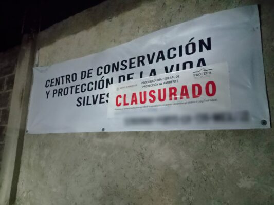Como parte de las medidas de seguridad, la Profepa aseguró nueve ejemplares de vida silvestre y ordena la suspensión de todas las actividades comerciales, de exhibición y manejo no esencial.