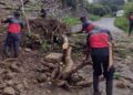 intensas lluvias en Oaxaca provocan el colapso del puente Jicotlán