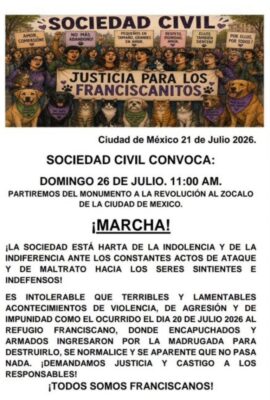 Sociedad civil marchará contra violencia hacia seres sintientes