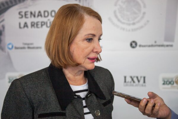 La presidenta del Senado, Laura Itzel Castillo