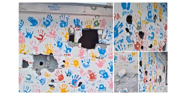 Fundación Haghenbeck señalada como responsable