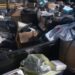 El Reciclatrón llega a Coyoacán este 18 de julio. Conoce qué aparatos electrónicos aceptan y cómo participar. | AMEXI/FOTO: RRSS