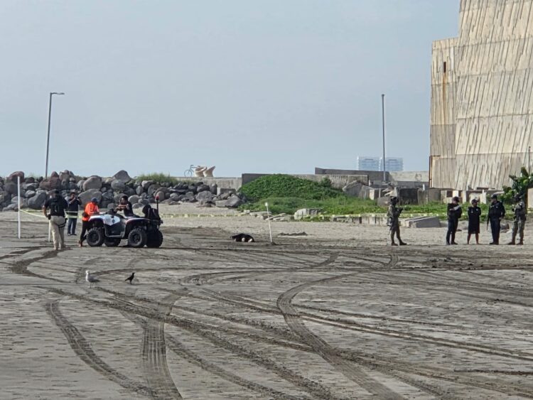 Dos jóvenes originarios de la CDMX perdieron la vida por ahogamiento al ingresar al mar en el municipio de Boca del Río, Veracruz.