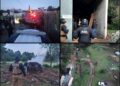 Aseguran en Ocuilan dos predios ligados a la tala clandestina