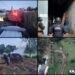 Aseguran en Ocuilan dos predios ligados a la tala clandestina