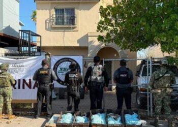 Aseguran más de 100 kg de pastillas de fentanilo en BC