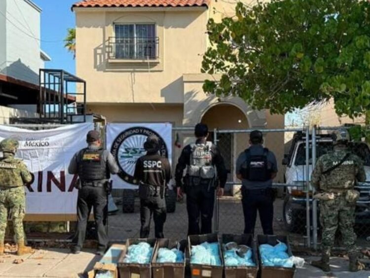 Aseguran más de 100 kg de pastillas de fentanilo en BC