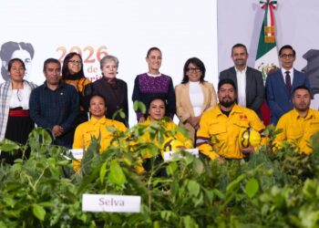 Campaña de reforestación nacional cuándo empieza