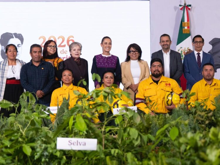 Campaña de reforestación nacional cuándo empieza