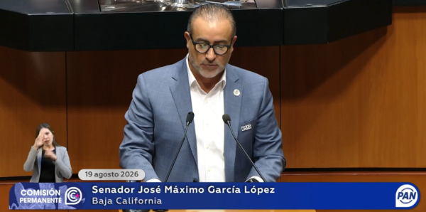 El senador José Máximo García López calificó el procedimiento como un trámite "fast track"