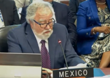 Patética la política exterior en esta errada 4T; en OEA, Encinas se «quema» (Opinión)
