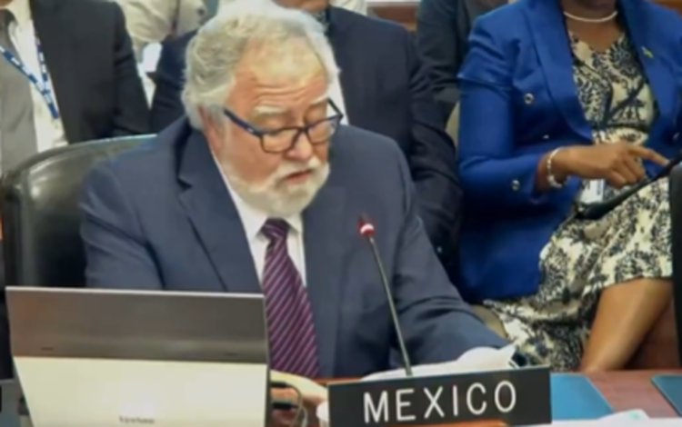 Patética la política exterior en esta errada 4T; en OEA, Encinas se «quema» (Opinión)