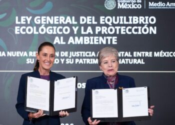 ley ambiental