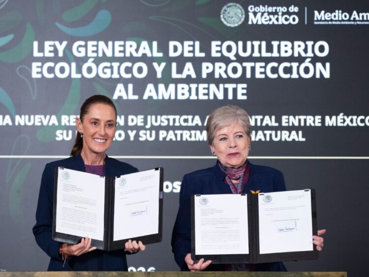 ley ambiental