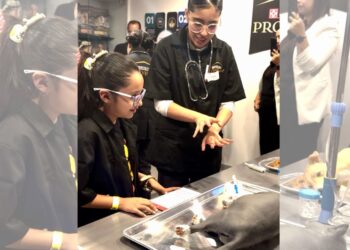 Niños participan en actividades de la Escuela Veterinaria de Purina® mientras aprenden sobre el cuidado responsable de perros y gatos.