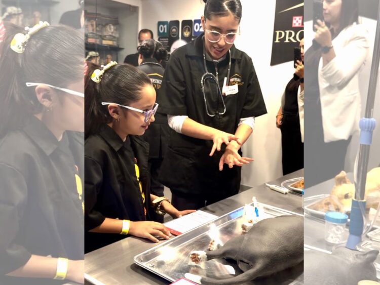 Niños participan en actividades de la Escuela Veterinaria de Purina® mientras aprenden sobre el cuidado responsable de perros y gatos.
