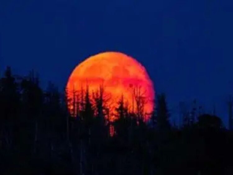 Eclipse lunar parcial en el que la sombra de la Tierra cubre gran parte de la superficie de la Luna