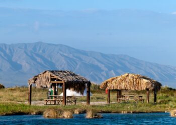 Visitantes disfrutan las aguas cristalinas del Río San Marcos, en Cuatrociénegas, Coahuila, rodeados de vegetación.
