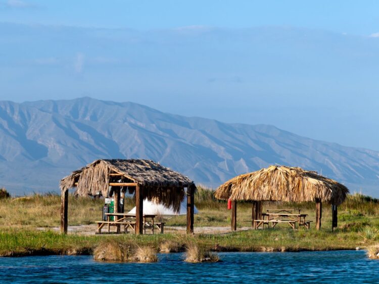 Visitantes disfrutan las aguas cristalinas del Río San Marcos, en Cuatrociénegas, Coahuila, rodeados de vegetación.