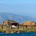 Visitantes disfrutan las aguas cristalinas del Río San Marcos, en Cuatrociénegas, Coahuila, rodeados de vegetación.