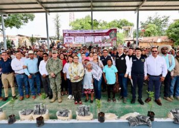 Familias desplazadas en ​Olinalá, Guerrero, reciben alimentos