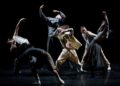 La 11.ª edición del Festival Internacional de Danza Contemporánea de la Ciudad de México reunirá a 21 compañías y artistas de 12 países con funciones gratuitas y galas especiales del 6 al 16 de agosto en 11 sedes de la capital. | AMEXI/FOTO: IG @fidcdmx