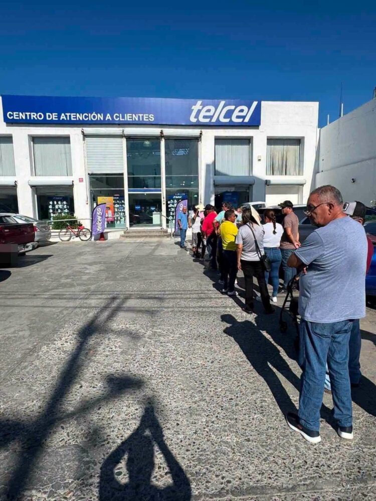 Celulares