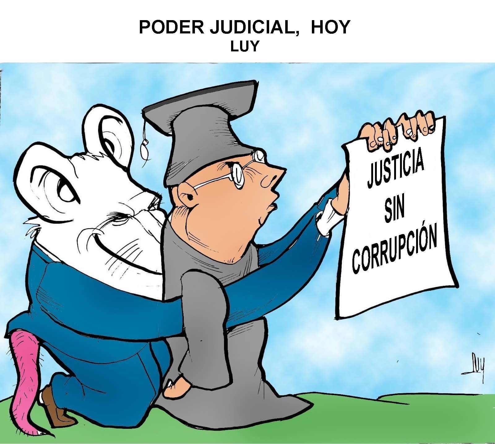 Poder Judicial hoy, LUY